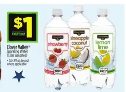 Dollar General Clover Valley Sparkling Water offer