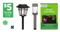 Dollar General True Living Solar Stakes offer