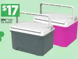 Dollar General Igloo Cooler offer