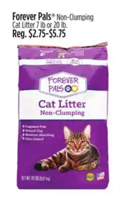 Dollar General Forever Pals Non-Clumping Cat Litter offer