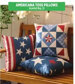 Dollar General AMERICANA TOSS PILLOWS offer