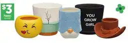 Dollar General Planters offer
