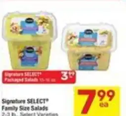 Albertsons Signature SELECT Family Size Salad offer