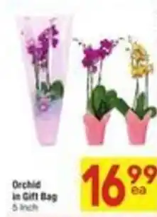 Albertsons Orchid in Gift Bag offer