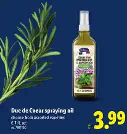 Lidl Duc de Coeur spraying oil offer