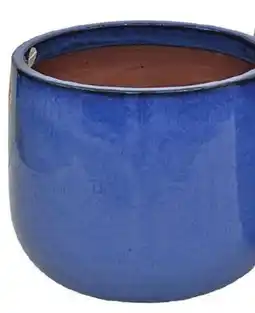 Vallarta Supermarkets Ceramic Planters offer