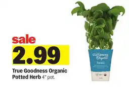 Meijer True Goodness Organic Potted Herb offer
