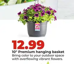 Hy-Vee 10 Premium hanging basket offer