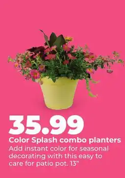 Hy-Vee Color Splash combo planters offer