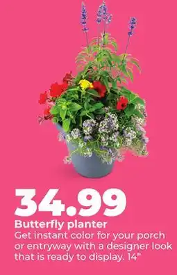 Hy-Vee Butterfly planter offer