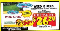 Ollie's American Way WEED & FEED offer