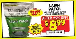 Ollie's LAWN PATCH offer