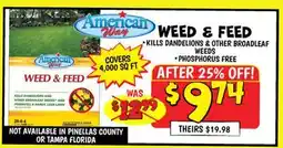 Ollie's AMERICAN WAY WEED & FEED offer