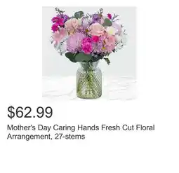 Costco Mother's Day Caring Hands Fresh Cut Floral Arrangement, 27-stems offer