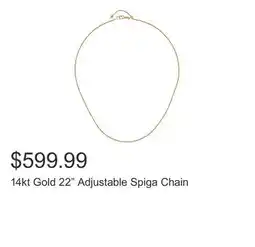 Costco 14kt Gold 22 Adjustable Spiga Chain offer