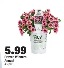 Meijer Proven Winners Annual offer