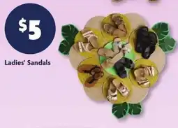 Family Dollar Ladies' Sandals offer