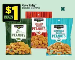 Dollar General Clover Valley Peanuts offer