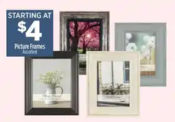 Dollar General Picture Frames offer
