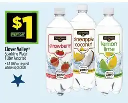 Dollar General Clover Valley Sparkling Water offer