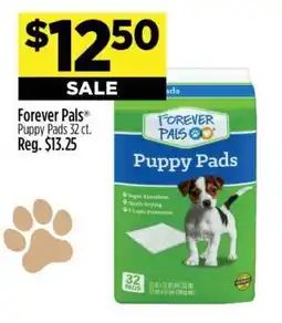 Dollar General Forever Pals Puppy Pads 32 ct offer
