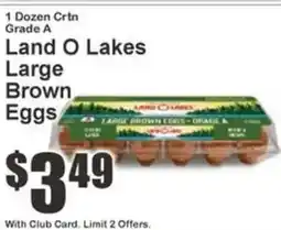 Key Food Land O Lakes Large Brown Eggs offer