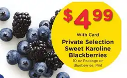 Ralphs Private Selection Sweet Karoline Blackberries offer