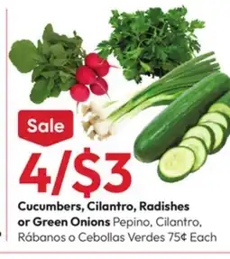 Stater Bros Cucumbers, Cilantro, Radishes or Green Onions offer