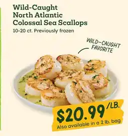 Sprouts Farmers Market Wild-Caught North Atlantic Colossal Sea Scallops offer