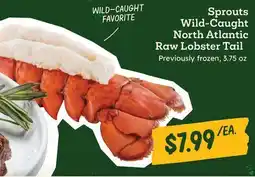 Sprouts Farmers Market Sprouts Wild-Caught North Atlantic Raw Lobster Tail offer