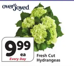Vons Fresh Cut Hydrangeas offer