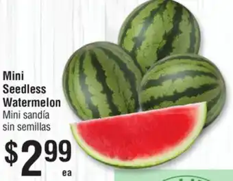 Smart & Final Mini Seedless Watermelon offer
