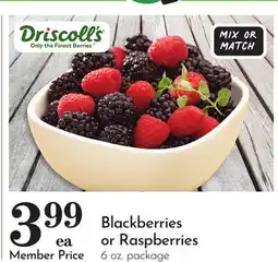 Pavilions Blackberries or Raspberries offer