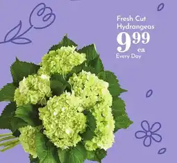 Pavilions Fresh Cut Hydrangeas offer