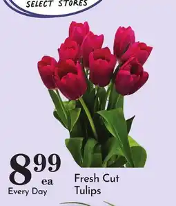 Pavilions Fresh Cut Tulips offer