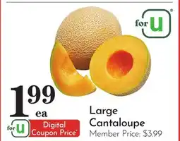 Pavilions Large Cantaloupe offer
