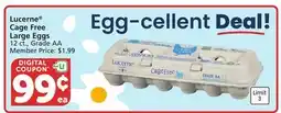 Albertsons Lucerne Cage Free Large Eggs offer