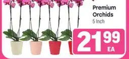 Tony’s Fresh Market Premium Orchids offer