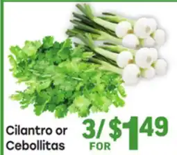 Tony’s Fresh Market Cilantro or Cebollitas offer