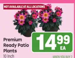 Tony’s Fresh Market Premium Ready Patio Plants offer