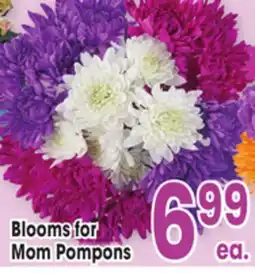 Jewel-Osco Blooms for Mom Pompons offer