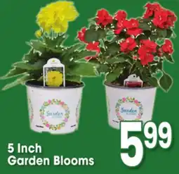 Jewel-Osco 5 Inch Garden Blooms offer