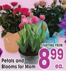 Jewel-Osco Petals and Blooms for Mom offer