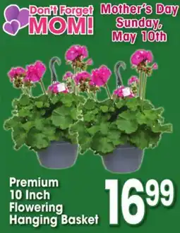 Jewel-Osco Premium 10 Inch Flowering Hanging Basket offer
