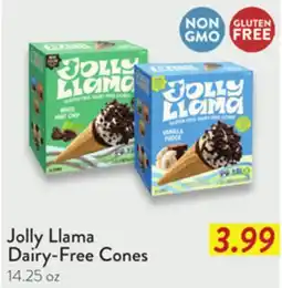 Fresh Thyme Jolly Llama Dairy-Free Cones offer