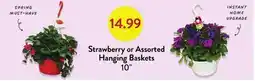 Fresh Thyme Strawberry or Assorted Hanging Baskets offer