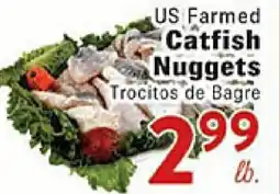 Rio Valley Market US Farm Catfish Nuggets offer