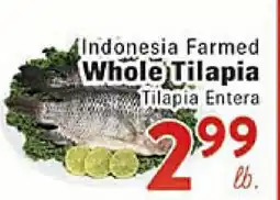 Rio Valley Market Indonesia Farmed Whole Tilapia offer