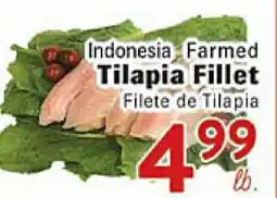 Rio Valley Market Indonesia Farmed Tilapia Fillet offer