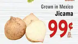 Rio Valley Market Jicama offer